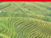 龍勝の棚田の旅